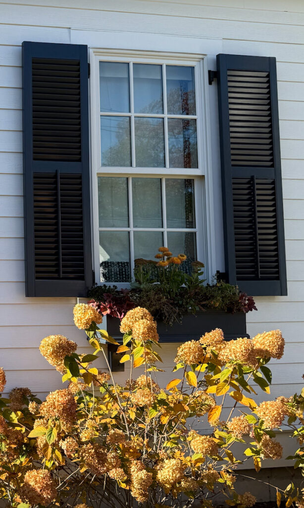 Seaport Shutter Exterior Shutters 101